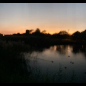 Meet your Posher, Garrett